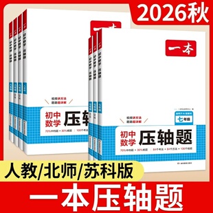 一本数学压轴题2026初中物理化学人教版北师大苏科七年级下册八九年级中考方程初一二三专题专项解题模板例题练习计算题训练