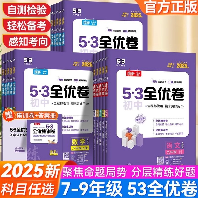 初中53全优卷七年级下册