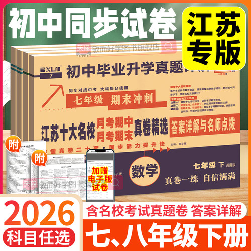 江苏专版十大名校初中同步卷