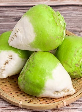 芥菜疙瘩嘎子辣菜山西临汾做熏菜酸菜腌咸菜的原料大头菜现挖现发