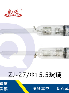 成都正华真空规管ZJ10BZJ27ZJ54ZJ52TCF35KF1016KF25/ZJ-14C电阻