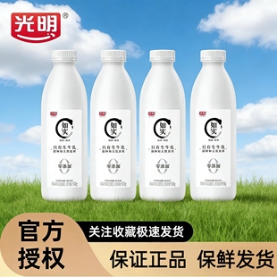 光明如实0蔗糖原味酸奶950g大瓶装风味发酵乳低温营大桶酸奶