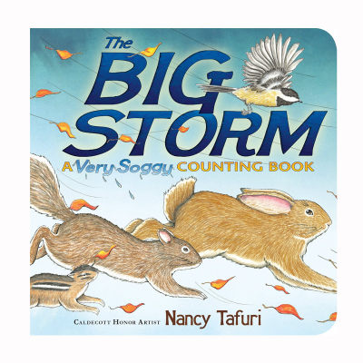 英文原版 The Big Storm : A Very Soggy Counting Book 大风暴：一本湿透的数数书 低幼儿童数数概念启蒙纸板书 纸板 绘本 2-6岁