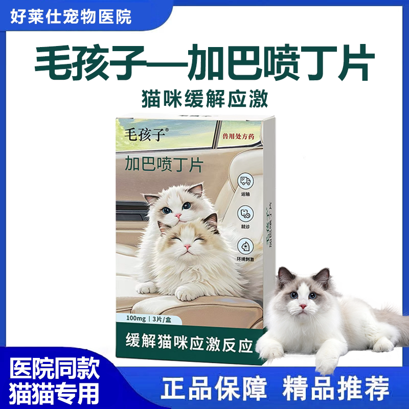 毛孩子猫咪应激情绪舒缓