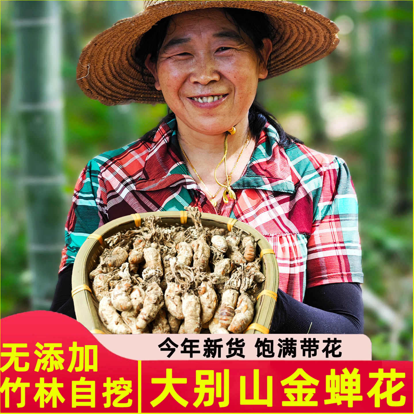 金蝉花|大别山金蝉花虫草花野生中药材金蚕花知了花孢子粉新货500