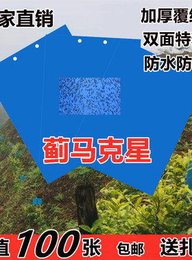蓝色粘虫板黄板蓟马粘虫板加厚双面特粘蓟马虫贴果园大棚防水防晒