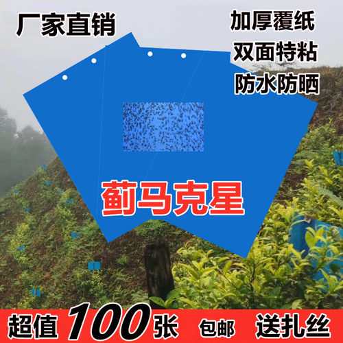 蓝色粘虫板黄板蓟马粘虫板加厚双面特粘蓟马虫贴果园大棚防水防晒