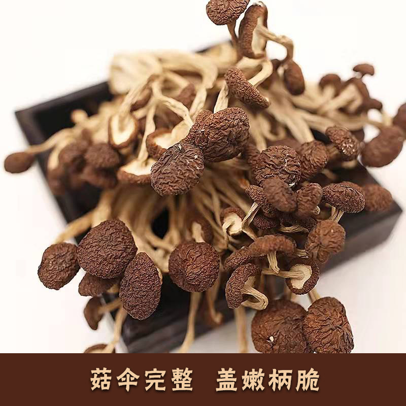 【秦宝宝】秦岭深山干茶树菇不开伞 干货茶树菇200g