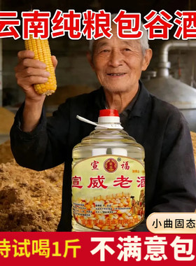云南包谷酒纯粮酒正宗纯包谷酒高度白酒苞谷酒自烤桶装泡酒清香型