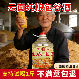 泡酒清香型 云南包谷酒纯粮酒正宗纯包谷酒高度白酒苞谷酒自烤桶装