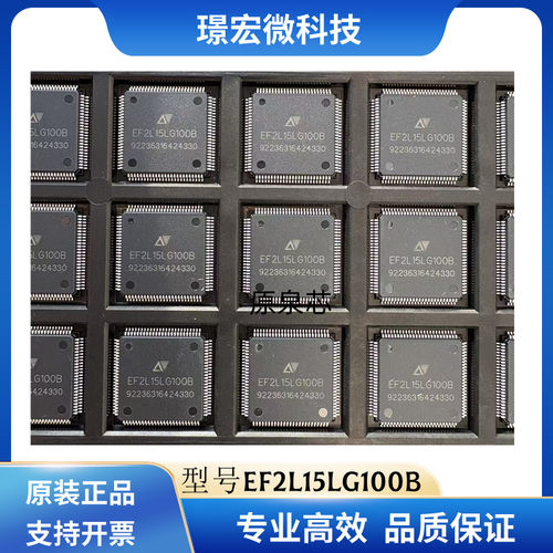 安路EF2L15LG100B全新原装