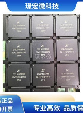 原装 EF2L45BG256B 封装BGA256 丝印EF2L45BG256B可编程逻辑器件