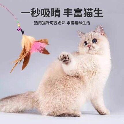 猫咪互动 经典钢丝彩色羽毛铃铛玩具互动神器训猫耐咬钢丝逗猫棒