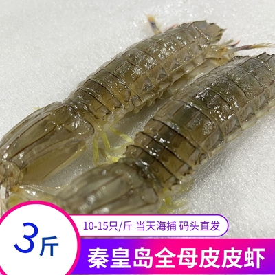 秦皇岛渤海湾特产皮皮虾拍2送1斤