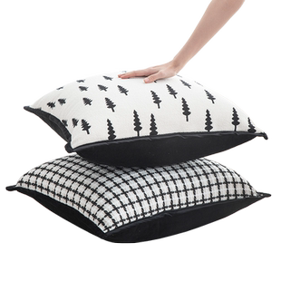 2026新款抱枕沙发客厅靠垫轻奢高级感大靠背垫抱枕套不含芯大靠枕