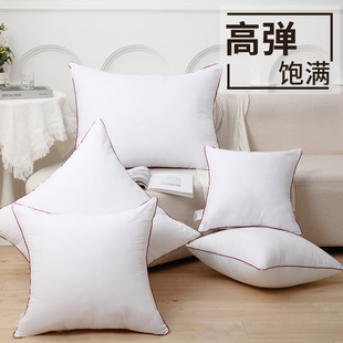 抱枕芯内胆沙发枕芯靠包靠垫芯45x45不塌陷50x50大靠背内芯靠枕芯