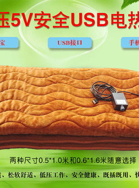 户外5V伏USB电热毯充电宝加热床垫取暖器五伏单人电褥子可调温度