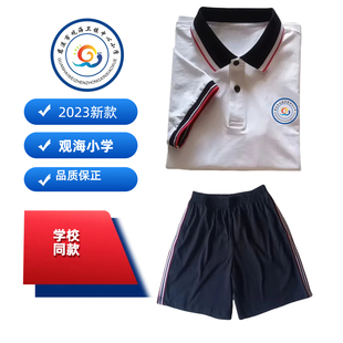 慈溪市观海卫镇中心小学校服学校同款夏装纯棉短袖上衣短裤班服