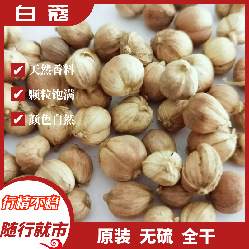 500g精选白蔻 白扣 白豆蔻无硫原装全干香料火锅烧肉卤料调味料