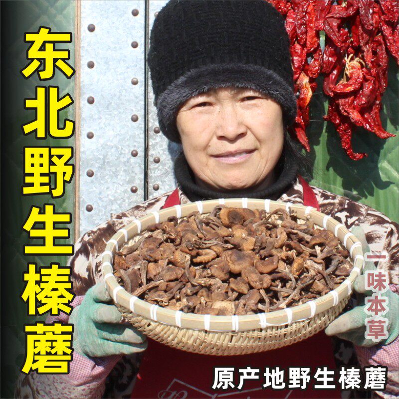东北野生榛蘑干货黑龙江特产农家自采自晒榛蘑500g野生榛蘑土特产