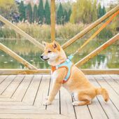 遛狗狗猫咪牵引绳胸背带式 可伸缩泰迪柯基小型犬外出用品防挣脱溜