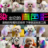 狗狗染发剂宠物专用狗狗毛发染色剂猫咪染毛膏染发膏白色比熊博美