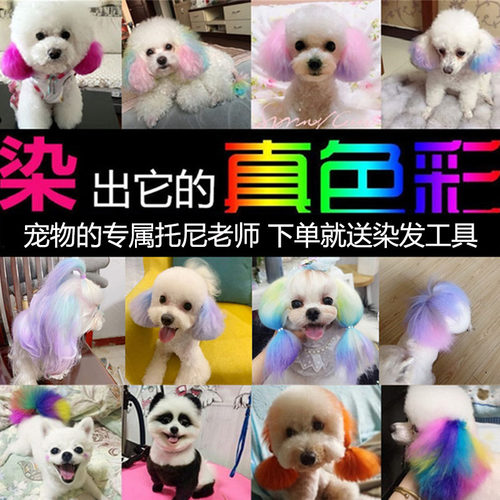 染发剂宠物专用持久不掉色美容膏