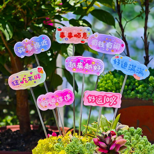 多肉花盆花园盆栽微景观花插祝福