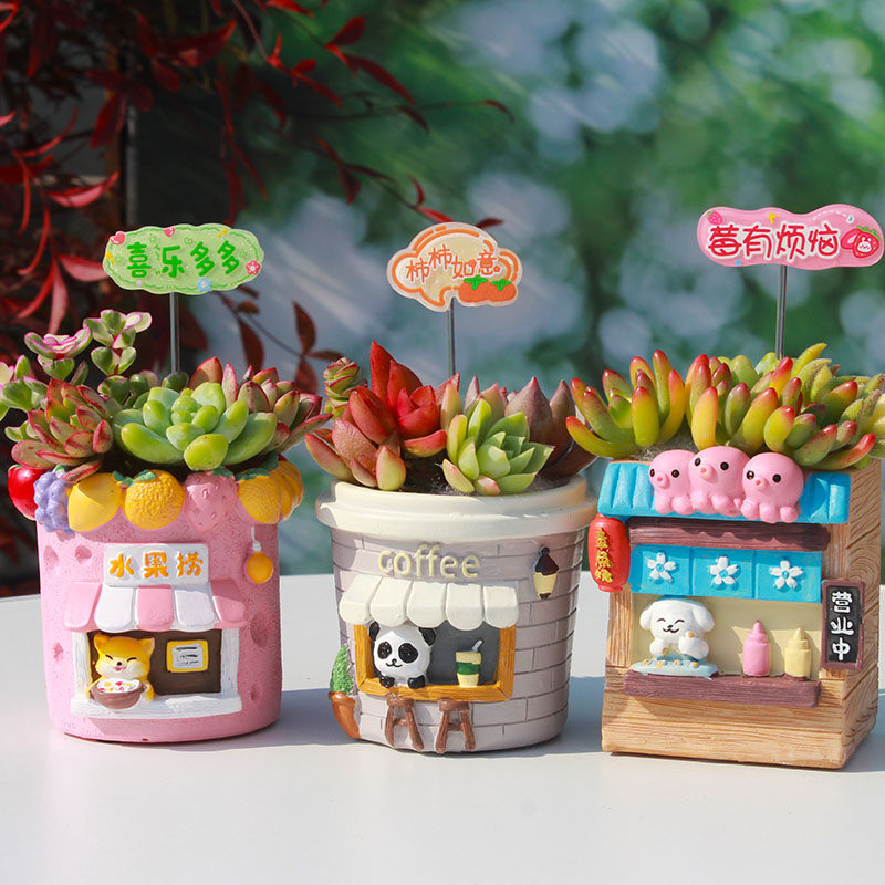 新款多肉可爱小动物创意造型花盆肉肉植物趣味小盆栽高颜值幼儿园