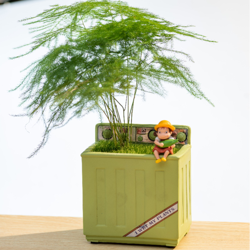 造型独特的花盆个性创意新款多肉小盆栽幼儿园宿舍办公室桌面绿植