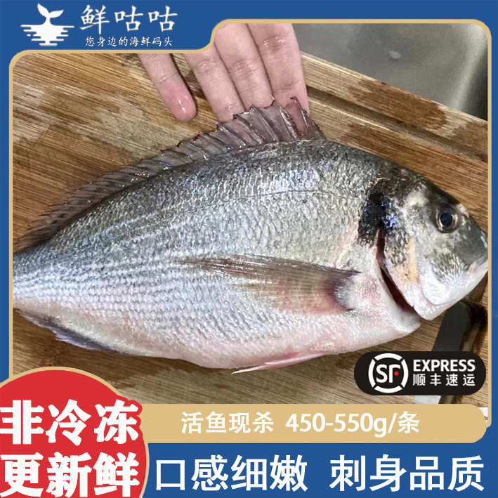金头鲷黑鲷鱼鲜活深海日料海鲜食材刺身可生食生鱼片海鲜水产袋装