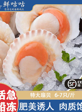扇贝鲜咕咕整个宁波舟山贻贝