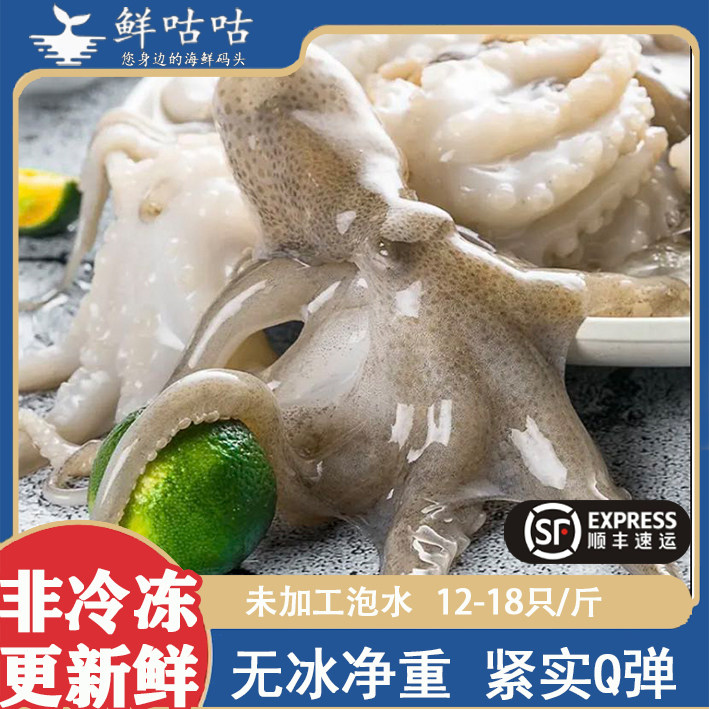 八爪鱼短脚小章鱼望潮 整只新鲜冷冻宁波舟山海鲜水产食用 不泡水