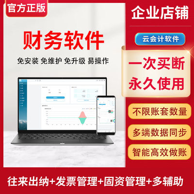 财务软件云会计做账网页版中小企业出纳日记账单机版代理记账系统