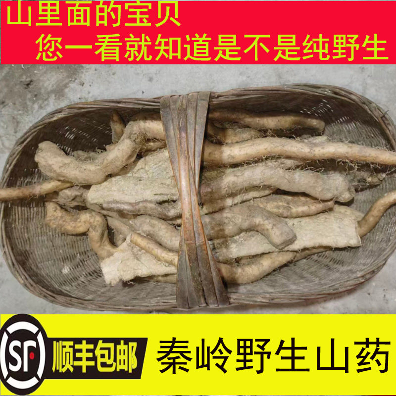 正宗秦岭纯野生山药新鲜现挖