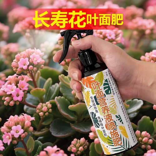 长寿花专用肥料盆栽土壤复合开花肥营养液叶面肥氮磷钾水溶化肥料