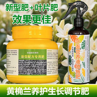 黄桷兰专用肥料大树苗白兰花肥黄桷兰花盆栽专用土营养液叶面肥料