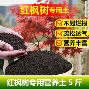 红枫树专用土料盆栽羽毛枫黄金流泉枫金隐秋月土壤营养土种植家用