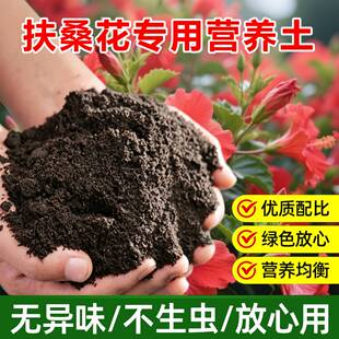 扶桑花专用土料树苗盆栽红色朱槿土壤养殖营养土种植肥花卉土家用