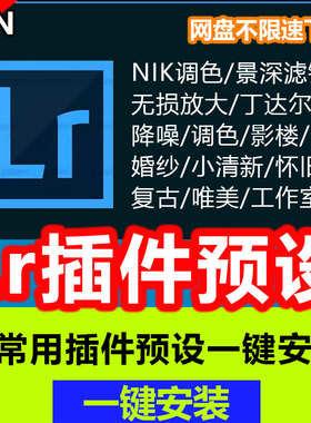 lr插件一键安装lightroom2025调色胶片常用预设插件日系小清新