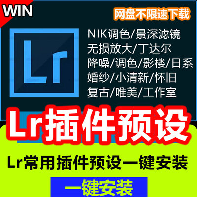 lr插件一键安装lightroom2025调色胶片常用预设插件日系小清新