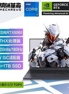 机械革命极光Pro/X游戏本