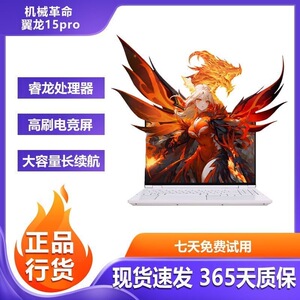机械革命翼龙15Pro游戏本