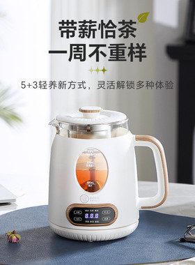 新款煮茶器家用多功能