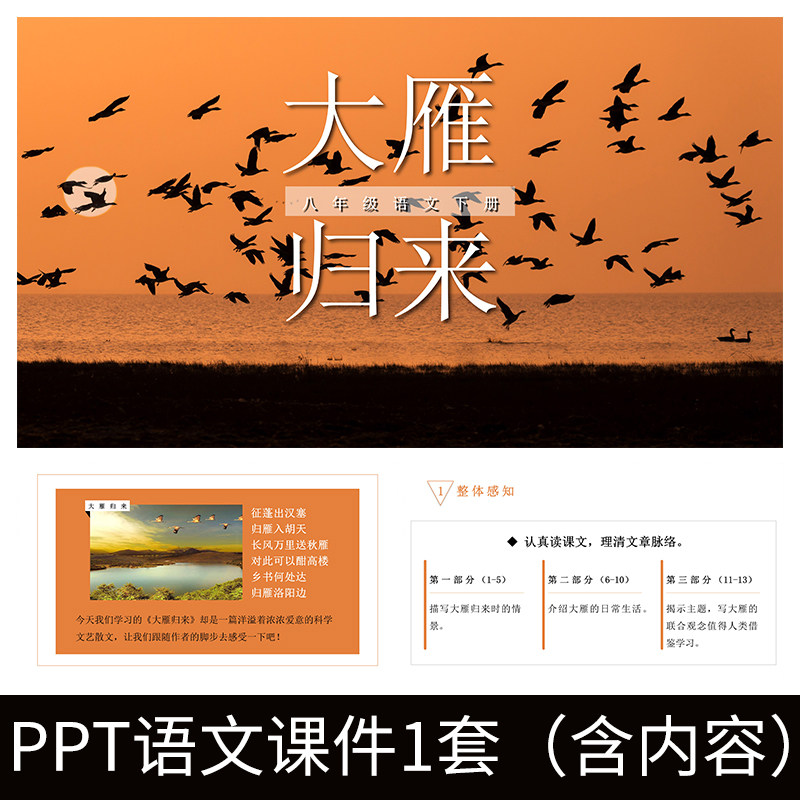 e153大雁归来利奥波德八年级语文下册教学教案课件ppt成品模板