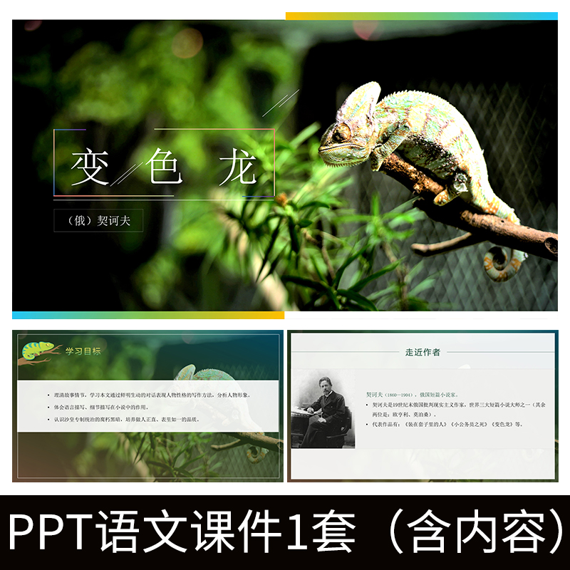e179变色龙俄契诃夫初中语文ppt教学教案课件公开课竞赛演讲模板