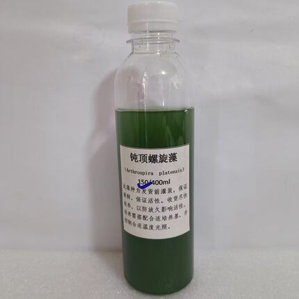 YY钝顶螺旋藻Arthrospira platensis蓝藻