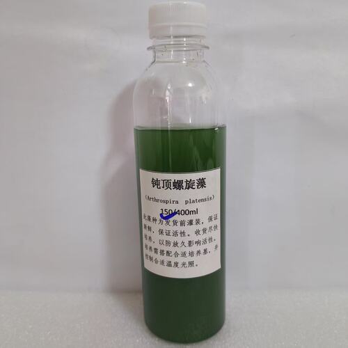 YY钝顶螺旋藻Arthrospira platensis蓝藻 灰假鱼腥藻  铜绿微囊藻