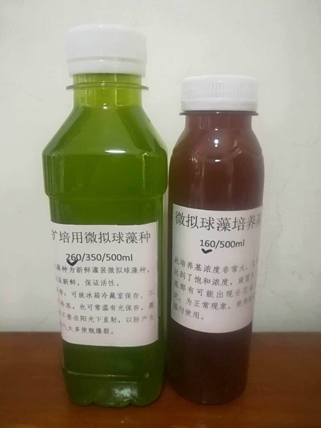 微拟球藻培养套装450毫升藻种 160毫升培养基可培320斤稳定不倒藻