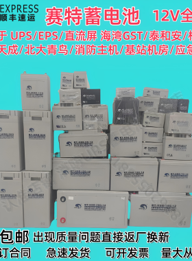 赛特海湾泰和安消防主机电池12V12AH/24AH/38AH/17AH/UPS应急电源
